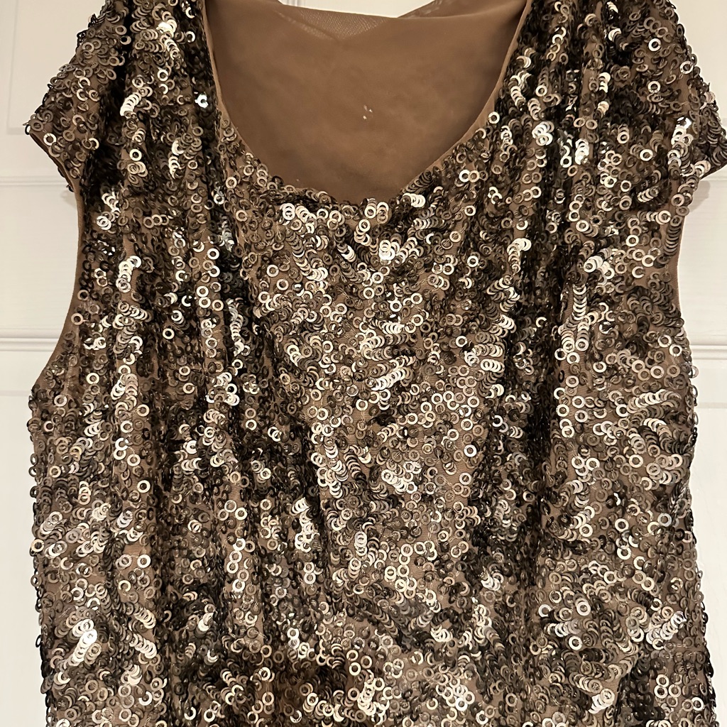 Vince Gold & Champagne Sequin Mini Dress